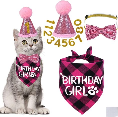 STMK Cat Birthday Party Supplies, Cat Birthday Hat with Cat Birthday Bandana Bow Tie Collar Birthday Number Cat Birthday Decorations for Cat Kitten Birthday Outfits (Pink) Check more at https://gayliving.ca/product/stmk-cat-birthday-party-supplies-cat-birthday-hat-with-cat-birthday-bandana-bow-tie-collar-birthday-number-cat-birthday-decorations-for-cat-kitten-birthday-outfits-pink/ Birthday Outfits Pink, Cat Birthday Decorations, Cat Themed Birthday Party, Kitten Birthday, Bandana Bow, Cat Birthday Party, Tie Collar, Cat Bandana, Bow Tie Collar