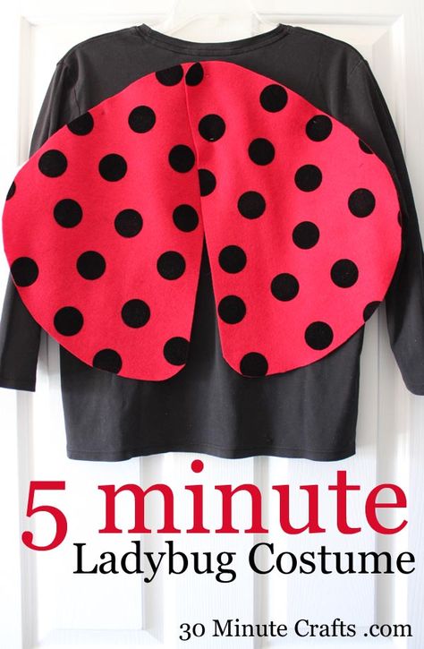 5 Minute Ladybug Costume on 30 Minute Crafts Ladybug Costume Kids, Ladybird Costume, Five Minute Crafts, Costume Fleur, 30 Minute Crafts, Ladybug Wings, Bug Costume, Quick Halloween Costumes, World Book Day Costumes