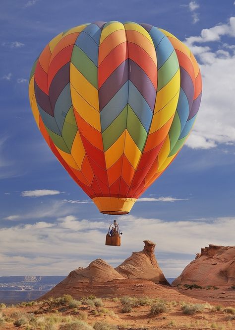 Hot Air Balloon Tattoo, Hot Air Balloons Photography, Animal Pictures For Kids, Balloons Photography, Air Balloon Festival, Balloon Pictures, Arizona Photography, Hot Air Balloon Festival, Balloon Festival