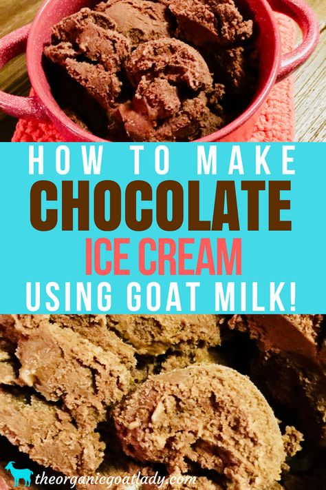 Chocolate Ice Cream Made With Goat Milk! - The Organic Goat Lady Milk Chocolate Ice Cream, Low Calorie Ice Cream, Goat Milk Recipes, Goat Recipes, Chocolate Ice Cream Recipe, Milk Dessert, Dairy Free Ice Cream, Milk Ice Cream, Paleo Desserts