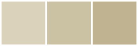 possible paint colors - Sherwin Williams Rice Grain, Ramie, Favorite Tan Tan Master Bath, Rice Grain Sherwin Williams, Exterior Paint Colours, Comfort Gray, Neutral Paint Colors, Sherwin Williams Paint Colors, Exterior Paint Colors For House, Neutral Paint, Rice Grain