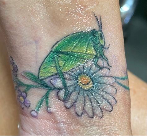 Katydid tattoo on my wrist Katydid Tattoo, Tattoo On, Tattoos And Piercings, Watercolor Tattoo, Piercings, I Hope, Tattoos, Nature