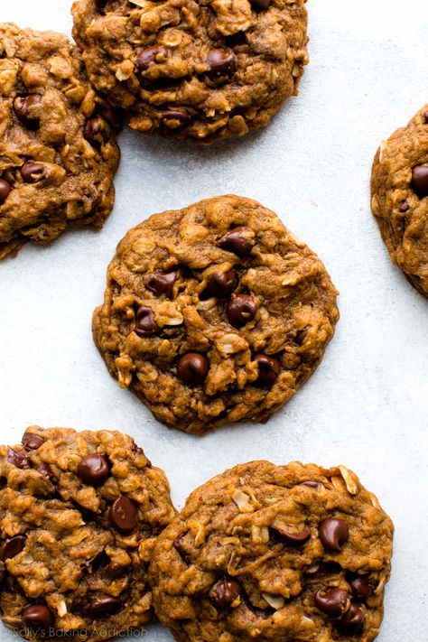 Pumpkin Oatmeal Chocolate Chip Cookies Pumpkin Oatmeal Chocolate Chip, Pumpkin Oatmeal Chocolate Chip Cookies, Fall Cookie Recipes, Pumpkin Oatmeal Cookies, Sally's Baking, Pumpkin Desserts, Pumpkin Chocolate Chip Cookies, Frozen Cookies, Oatmeal Chocolate Chip