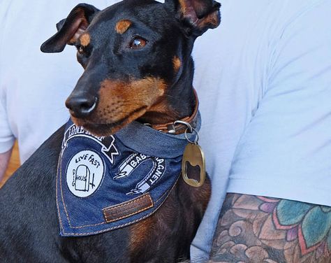 Gg Allin, Dog Vests, Dog Patch, Denim Dog, Dog Vest, Dog Items, Dog Scarfs, Dachshund Love, Dog Gear