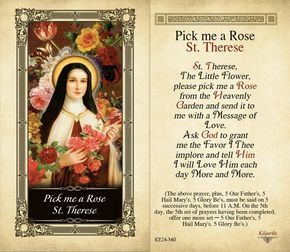 St Therese Novena, St Theresa Little Flower, Novena Prayers Catholic, St Therese Prayer, Rosary Prayers, Prayers Catholic, Catholic Prayers Daily, Prayer Images, Catholic Answers