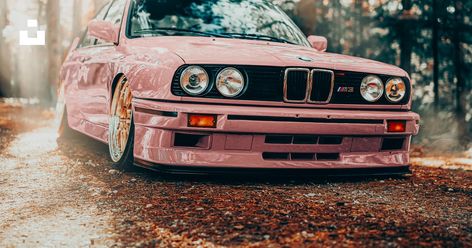 Bmw Rose, Pink Bmw, Car Pink, Mustang Wallpaper, Gold Wheels, 4k Wallpapers For Pc, Bmw E30 M3, Dream Cars Mercedes, Bmw Wallpapers