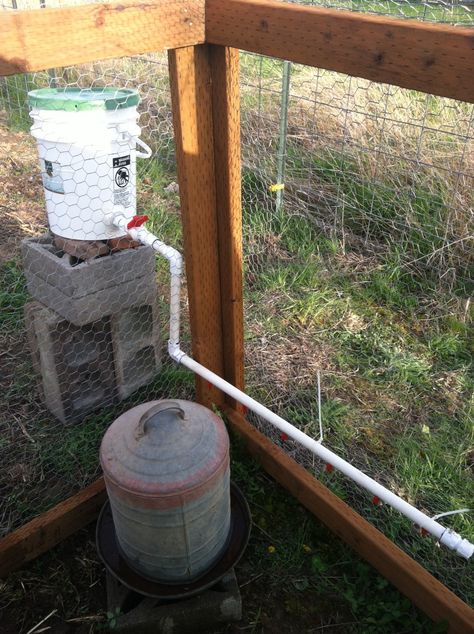 Thorough instructions on making pvc pipe or 5 gallon bucket watering systems for chickens! Pvc Pipe Chicken Feeder, Chicken Waterer, Chicken Feeders, Valentine Diy, Wake Ideas, Keeping Chickens, Mini Farm, Chicken Feed, Chicken Diy