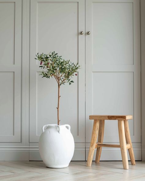 Sunday Still 🕊️ #sundaystill #olivetree #kitchenstyling #fauxplants Country Cottage Living, Holiday In Italy, Tree Stem, Tuscan Countryside, Faux Olive Tree, Ceramic Garden, Garden Plant Pots, Art Bowls, Soft Furnishings Cushions