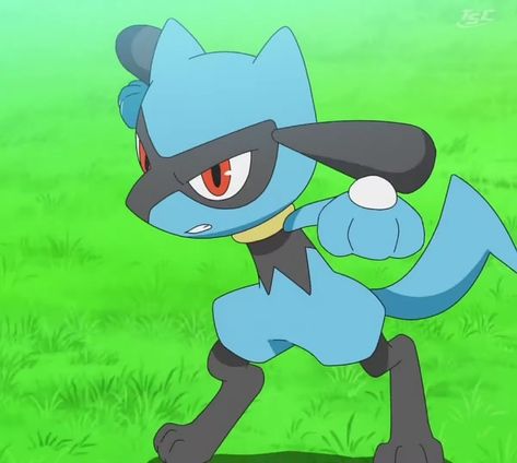 Ash Lucario, Lucario Art, Shiny Eevee, Sif Dark Souls, Lucario Pokemon, Pikachu Art, Pokemon Craft, Pokémon Stuff, Ash Pokemon