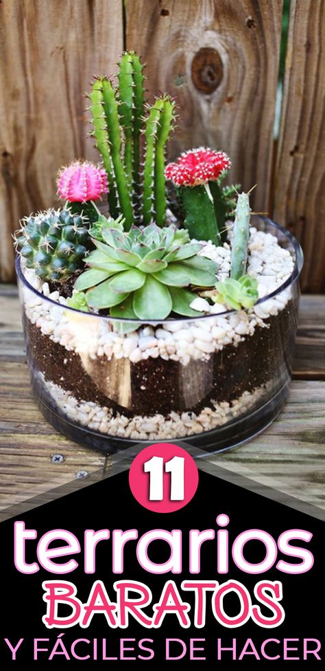 Haz tu propio terrario y deja que la decoración y la naturaleza se fundan en tu hogar. Cactus Centerpiece, Mini Cactus Garden, Succulent Bowls, Diy Tree Decor, Succulent Garden Indoor, Indoor Cactus, Succulent Bonsai, Succulent Garden Diy, Rock Garden Landscaping