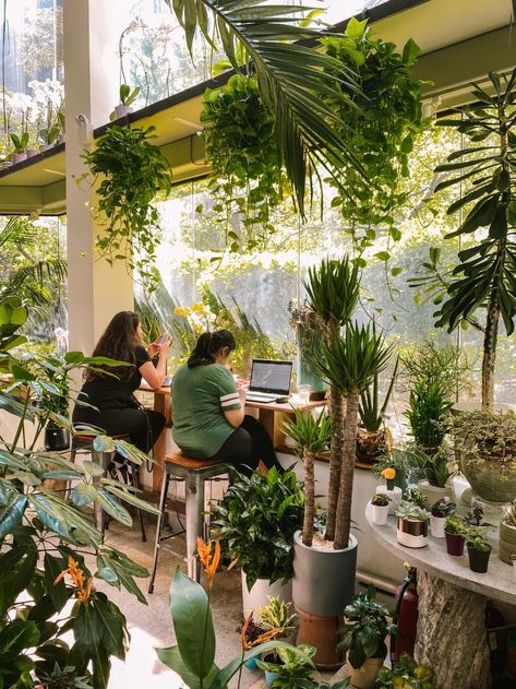 Cafe In Greenhouse, Plant Cafe Design, Plant Cafe Interiors Coffee Shop, Instagram Worthy Cafe, Cafe Plants Interiors, Plant And Coffee Shop, Plant Cafe Interior, Greenhouse Coffee Shop, Plant Shop Design