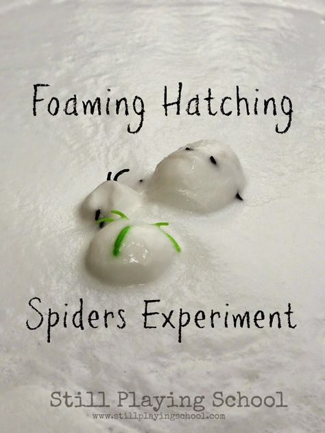 Bug Crafts For Toddlers, October Crafts For Kids, Spider Lessons, Spiders Preschool, Halloween Theme Preschool, Spider Unit, Sensory Science, The Very Busy Spider, Spider Activities