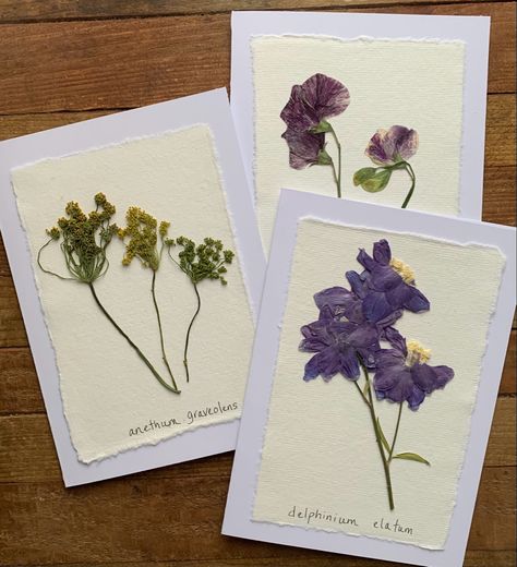 2024 Watercolor, Pressed Florals, Flower Drying, Dried Flower Art, Flower Projects, Pressed Botanicals, Flower Press, Bird Quilt, Delphinium