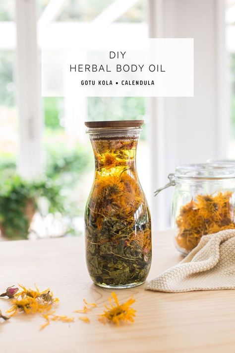 DIY Body Oil – with Gotu Kola and Calendula for dry skin. A simple homemade skin care recipe. #DIYbodyoil #DIYbodyoilrecipe #DIYbodyoilmoisturizer #DIYbodyoildryskin #calendulaoilskincare #calendulaoilbenefits #gotukola #abhyanga #AscensionKitchen // Pin to your own inspiration board! // Calendula Oil Benefits, Diy Body Oil, Body Oil Recipe, Dry Skin Care Products, Recommended Skin Care Products, Homemade Moisturizer, Skin Care Routine For 20s, Womens Skin Care, Oil For Dry Skin