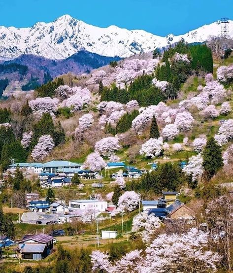 Instagram post by nata • Apr 4, 2021 at 4:10pm UTC Nagano City, Hakuba Japan, Summer Places, Places To Visit In Japan, Places In Japan, History Aesthetic, Nagano Japan, Japan Landscape, Aesthetic City