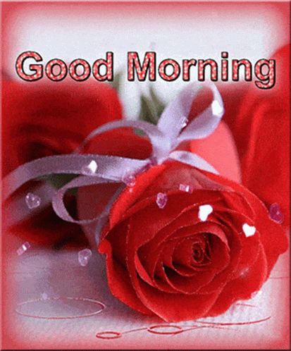 Good Morning Heart GIF - GoodMorning Heart Love - Discover & Share GIFs Good Morning Darling Love, Good Morning Heart, Good Morning Darling, Gif Good Morning, Good Morning Gift, Good Morning Handsome, Good Evening Greetings, Good Morning Sweetheart Quotes, Good Morning Love Messages