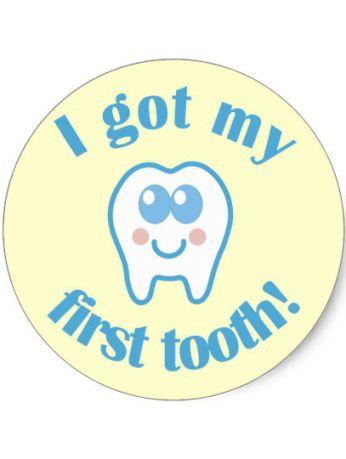 i_got_my_first_tooth_classic_round_sticker-rd9a9cc2c369e4d5287f7b1889e7c80bc_v9waf_8byvr_540 I Got My First Tooth Banner, First Teeth Party Ideas Tooth, I Got My First Tooth, Tooth Clipart, Dentist Cartoon, My First Tooth, Tooth Cartoon, Tooth Cake, Boy Scrapbook Layouts