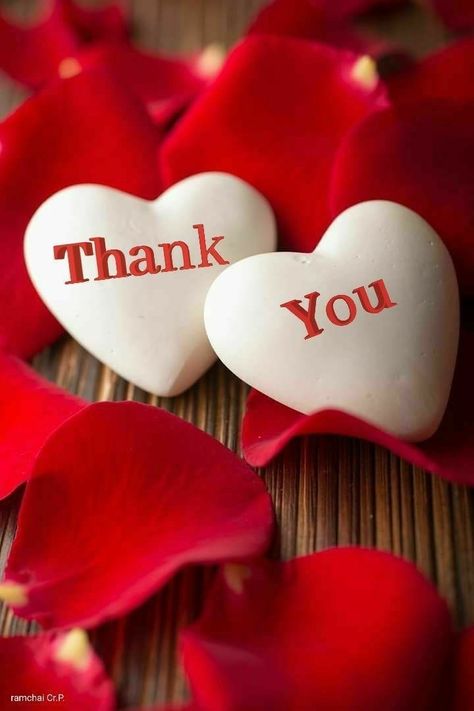 Congrats Quotes, Thank You Messages Gratitude, Thank You Wallpaper, Happy Name Day, Thank You For Birthday Wishes, Emoticon Love, Thank You Pictures, Thank You Wishes, Thank You Images