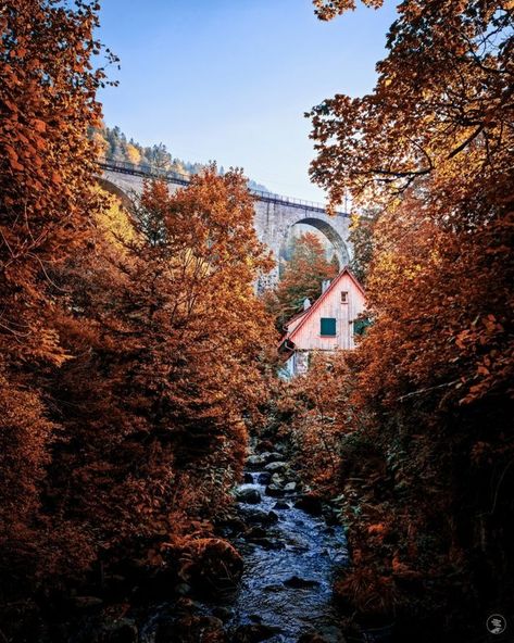 Whatever season you find yourself in anywhere around the world, there's nothing quite like an autumnal Black Forest experience 🇩🇪 📍 Breitnau - Black Forest, Germany German Black Forest, Autumn In Germany, German Beauty, Germany Travel, Black Forest, Germany, Forest, Around The Worlds, Travel