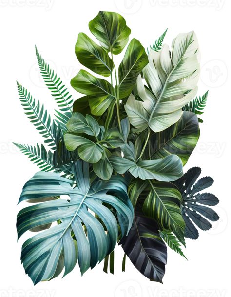 Abstract Pencil Drawings, Leaves Illustration, Tropical Art, Foliage Plants, Mural Art, Canvas Art Painting, Art Therapy, Tropical Leaves, Floral Arrangement