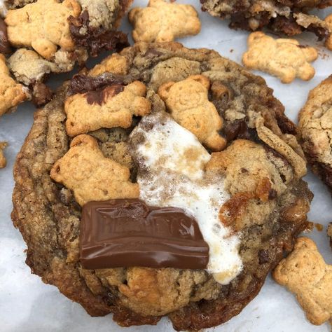 Levain Smores Cookies, Teddy Graham Recipes, Teddy Graham Cookies, Smores Ideas, Smore Cookies, Cookies Levain, Fat Cookies, Pizza And Ice Cream, Chunky Cookies