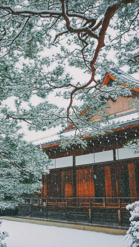 Snowing in Japan - Tap to see more #beautiful #snow & #snowflakes #winter wallpaper - @mobile9 Winter Iphone Wallpaper, Snow In Japan, Asian Wallpaper, Japan Winter, 11 Wallpaper, Winter Iphone, Iphone Wallpaper Winter, Zero Wallpaper, Easter Wallpaper