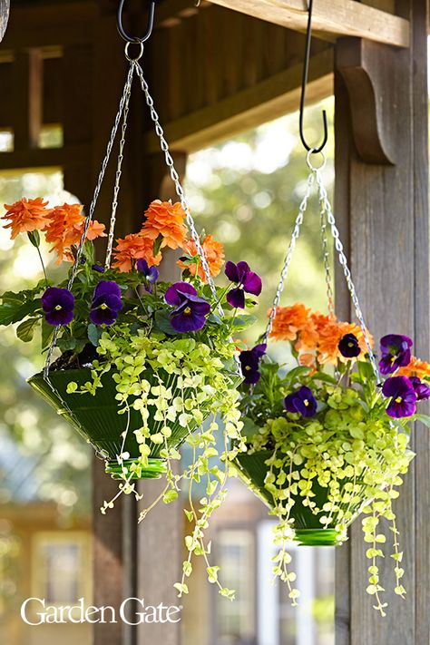 Grab a few friends and make these great DIY hanging baskets with our easy how-to steps  #DIY #GardenProject #Upcycle #HangingBasket #ContainerGardening #GardenGateMagazine Hanging Baskets Diy, Recycled Stuff, Diy Hanging Planter, Vertical Wall Planters, Hanging Plant Wall, Upcycle Ideas, Hanging Flower Baskets, Flower Baskets, Beach Garden