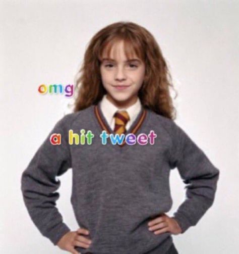 Emma Watson Meme, Omg A Hit Tweet, Different Words, I Quit, Know Your Meme, Reaction Pictures, Mood Pics, Harry Potter, On Twitter