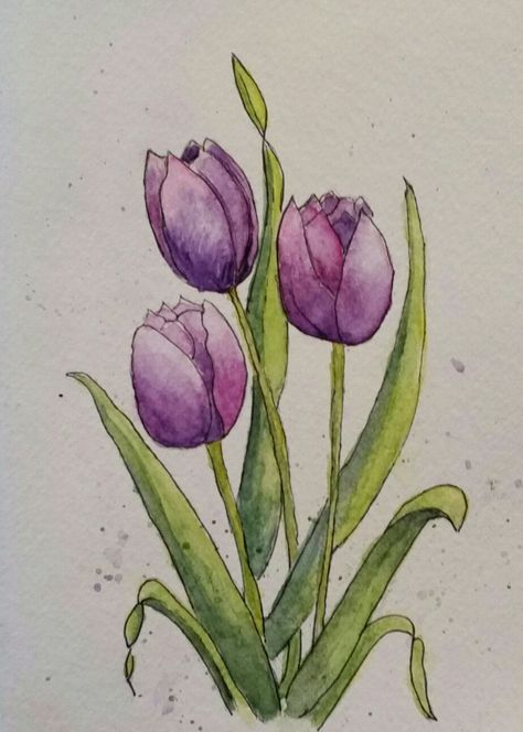 Tulip Drawing, Watercolor Pencil Art, Tulip Painting, Watercolor Tulips, Watercolor Paintings For Beginners, Cat Air, Diy Watercolor Painting, Purple Tulips, Seni Cat Air