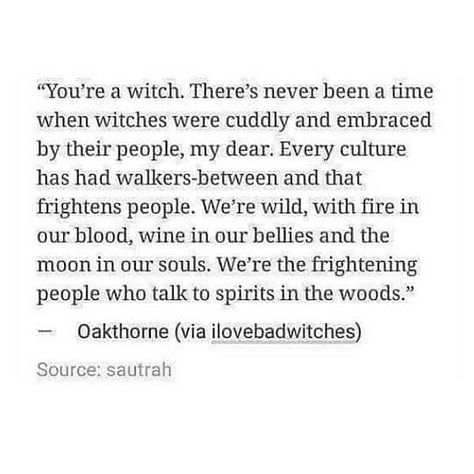 Which Witch, Witch Quotes, Eclectic Witch, Wiccan Spells, Wise Women, Witch Aesthetic, Practical Magic, Witchy Woman, Kitchen Witch