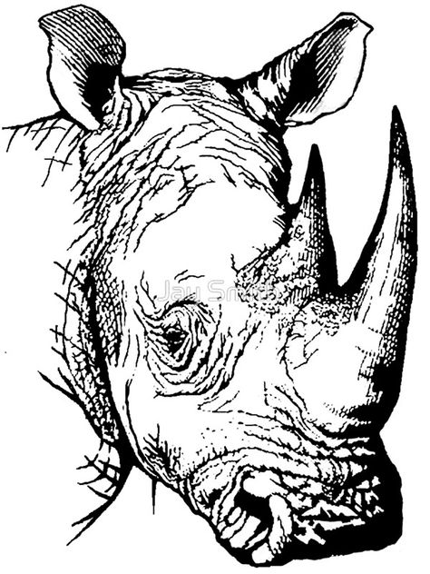 Rhinosaurus Tattoo, Rhino Drawing Sketches, Rhinoceros Sketch, Rhino Tattoo Design, Rhino Outline, Rhino Tattoos, Rhinoceros Drawing, Rhino Drawing, Rhino Illustration