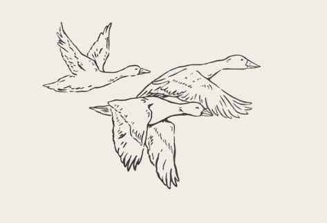 drawn ducks in flight (very plain, cannot tell which ducks!) Ducks Flying Drawing, Flying Duck Illustration, Duck Tattoos Realistic, Ducks Flying Tattoo, Duck Flying Tattoo, Duck Duck Goose Tattoo, Flying Duck Tattoo, Wild Goose Tattoo, Duck Line Drawing