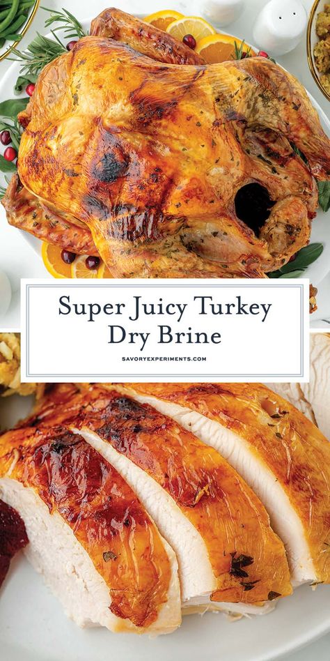 All your dry brining questions answered! How to dry brine a turkey to add flavor and get perfectly seasoned and succulent turkey everytime. Dry Rub Turkey Brine, Dry Brine Turkey Recipes, Dry Rub Turkey, Turkey Brine Recipes Easy, Smoked Turkey Brine, Brine Turkey, Thanksgiving Themes, Dry Brine Turkey, Bird Recipes