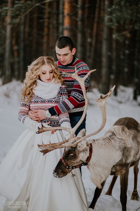 Reindeer Photoshoot, Winter Poses, Real Reindeer, Reindeer Photo, Vacation Winter, Family Christmas Pictures, Santa And Reindeer, Photo Op, Christmas Pictures