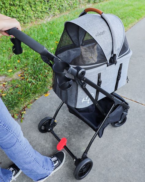 Have you checked out our @wayfair exclusive pet stroller?!😱  This is Petique's 3-in-1 Travel Tri-Fold Pet Stroller and here's why our customers are falling in LOVE with it: ✅Seamlessly transforms from a pet stroller to a pet carrier to a pet car seat ✅The tri-fold design allows for easy folding and unfolding, making it a breeze to store or set up ✅Tons of ventilated windows for airflow and sightseeing ✅Shock absorbing springs and tires with enhanced traction  #pets #pet #dogoftheday #dog #cat Cat In Stroller, Cat Car Seat, Cat Stroller, Pet Strollers, Wire Crochet Jewelry, Pet Stroller, Pet Car Seat, Wire Crochet, Pet Car