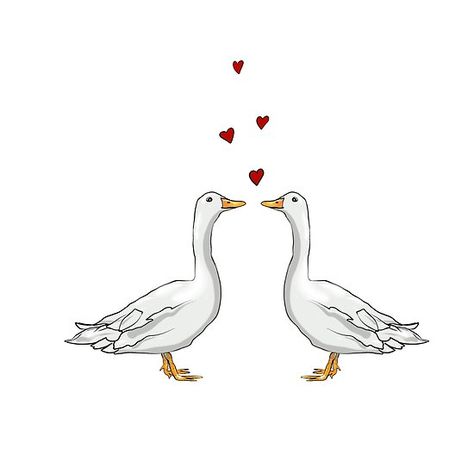 #Ducks in #love 2 Ducks Drawing, Ducks In Love Drawing, Couple Animals Drawing, Animal Couple Drawing, Aphrodite Vibes, Ducks In Love, Duck Wedding, In Love Illustration, Duck Couple