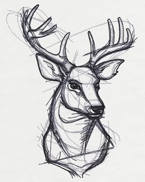 Buck Drawing Easy, Stag Drawing Easy, How To Draw A Stag, Stag Drawing Sketches, Stag Head Drawing, Art Sketches Animals, Easy Deer Drawing, Cool Animal Drawings, Animal Art Drawing Sketches