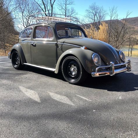 1966 Vw Beetle, Floor Panels, 60s Cars, Brick Interior, Vw Beetle Classic, Interior Car, Vw Beetle, Vw Beetles, Volkswagen Beetle