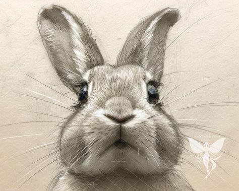 Easter Rabbit Sketch Art Print, Wildlife Sketch, Draw Bunny, Printable Artwork, Downloable Digital Art, Easter Home Decor, Nursery Wall Art. ----------------------------------------------- 𝐈𝐧𝐜𝐥𝐮𝐝𝐞𝐝 𝐅𝐢𝐥𝐞𝐬 One in 300dpi resolution: 𝐈𝐧𝐜𝐥𝐮𝐝𝐞𝐝 𝐅𝐢𝐥𝐞𝐬 ONE ( 9000 x 7200 pixels ). 24X30" 300dpi resolution for Instant Download. **This File is made in  4 x 5 RATIO, You will be available to Resize and print in the following sizes :   4X5"   8x10"  12x15"  16x20"  20x25"  24x30" *Th Draw Bunny, Rabbit Sketch, Bunny Printable, Bunny Sketches, Art Du Croquis, Rabbit Wall Art, Rabbit Drawing, Easter Home Decor, Bunny Painting