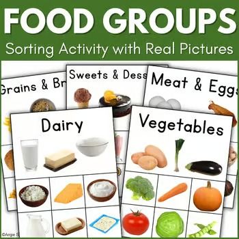 Food groups | TPT Food Groups Preschool, Special Education Life Skills, Preschool Cooking, Fast Finisher Activities, Food Vocabulary, Special Education Activities, Food Activities, Life Skills Activities, Life Skills Special Education