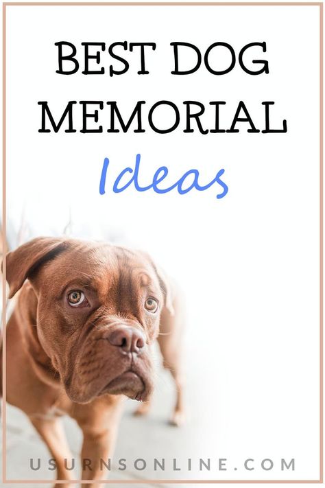 In Memory Of Dog Ideas, Memorial Ideas For Pets, Dog Memorial Shelf Ideas, Memorializing Your Dog, Pet Memorabilia Ideas, Dog Remembrance Ideas Loss Of Pet, Dog Leash Memorial Ideas, Pet Dog Memorial, Dog Bowl Memorial Ideas