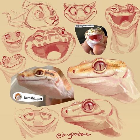 Gecko Artwork, Gecko Reference, Gecko Art Design, Leopard Gecko Sketch, Gecko Character Design, Gecko Sketch, Gecko Character, Leopard Gecko Drawing, Leopard Gecko Art