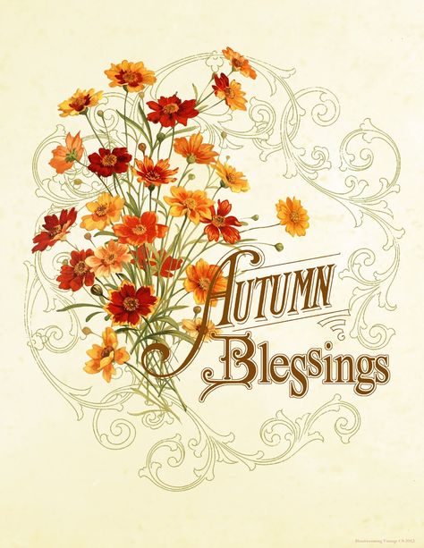 autumn blessings clip art Vintage Paper Crafts, Autumn Blessings, Free Fall Printables, Harvest Blessings, Fall Images, Autumn Fairy, Vintage Thanksgiving, Fall Printables, Vintage Fall