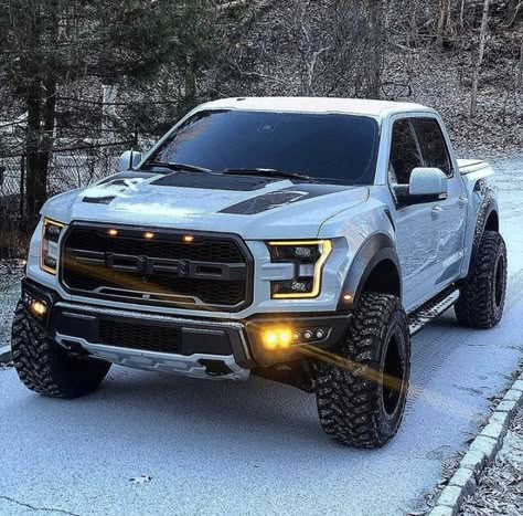 Truk Ford, Ford Raptor Truck, Mobil Off Road, Raptor Truck, Ford Diesel, Ford Trucks F150, Ford Ranger Raptor, Lifted Ford, Old Ford Trucks