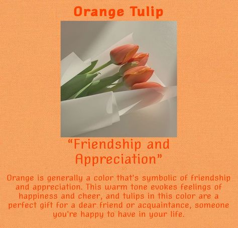 Orange Tulips Meaning, Tulip Meaning, Flower Knowledge, Tulips Quotes, Flowers Language, Plant Meanings, Tulips Meaning, Rose Color Meanings, Flower Dictionary