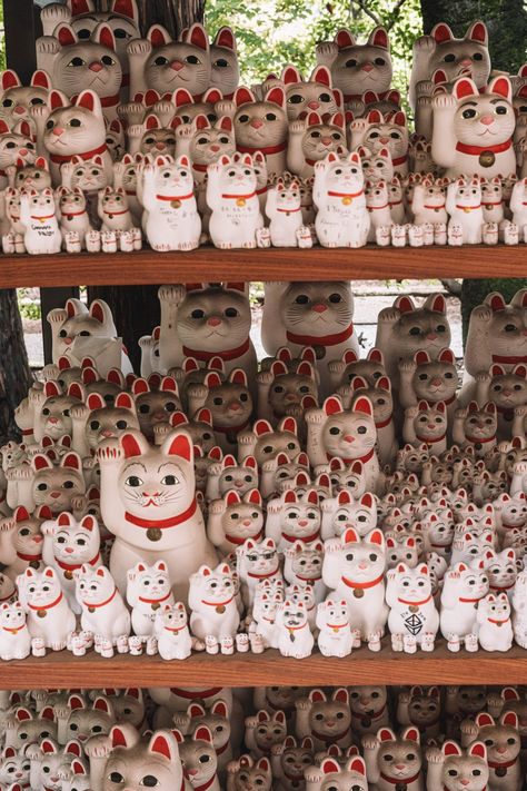 Gotokuji Temple, Lion Ceramic, Japanese Place, Tokyo Temple, Good Luck Cat, Photography Rules, Japan Travel Destinations, Japanese Temple, Cat Figurines