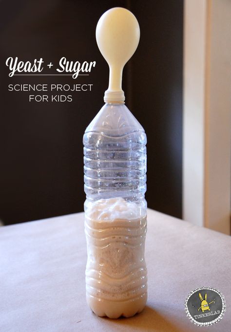 Science Projects for Kids | Yeast and Sugar Experiment Yeast Experiments For Kids, Food Science Experiments For Kids, Chemical Reactions For Kids, Yeast Experiment, Food Science Experiments, Matter Unit, Cool Science Fair Projects, Nutrition Sportive, Kid Experiments