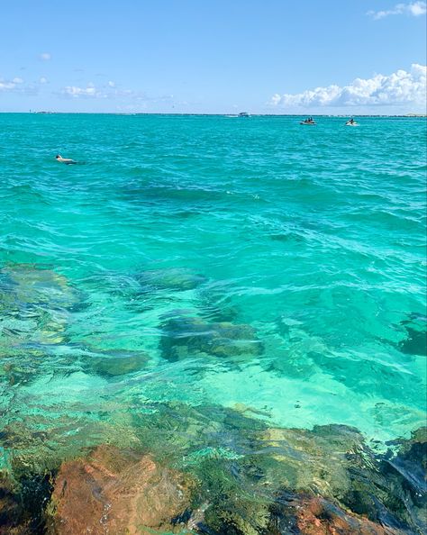 Clear Tropical Water, Aesthetic Tropical Pictures, Crystal Clear Ocean Water, Tropical Water Aesthetic, Clear Beach Aesthetic, Ocean Reef Aesthetic, Clear Ocean Water Aesthetic, Tropical Ocean Aesthetic, Sunny Summer Aesthetic