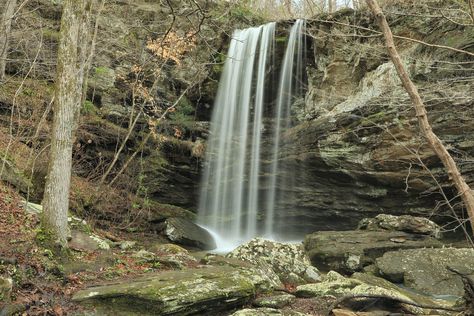 Hopeful Falls, Talladega National Forest, Talladega County… | Flickr Talladega National Forest, National Forest, Forest, Photography