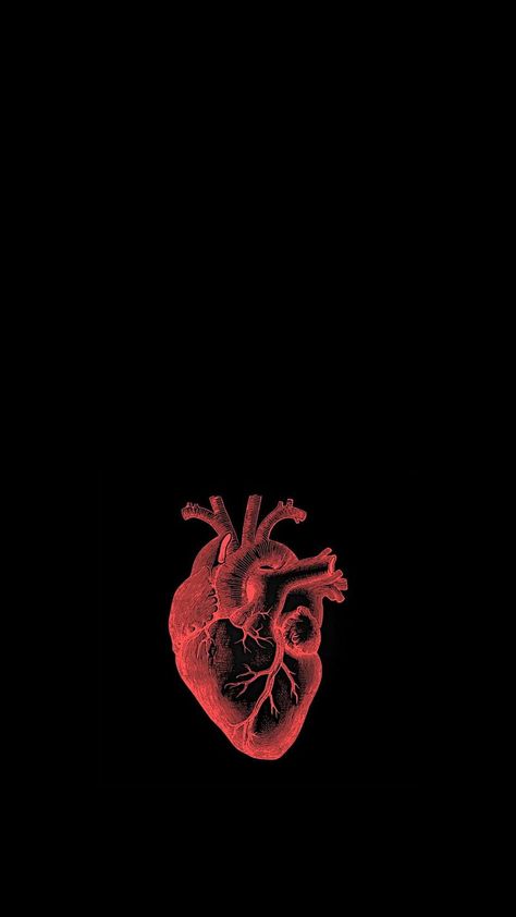 CARDIOLOGY Anatomical Heart Wallpaper Iphone, Biological Heart Wallpaper, Mbbs Wallpaper Aesthetic, Anatomical Heart Background, Anatomic Heart Wallpaper, Cardiology Aesthetic Wallpaper, Cardiac Surgeon Wallpaper, Heart Organ Wallpaper, Cardiologist Wallpaper